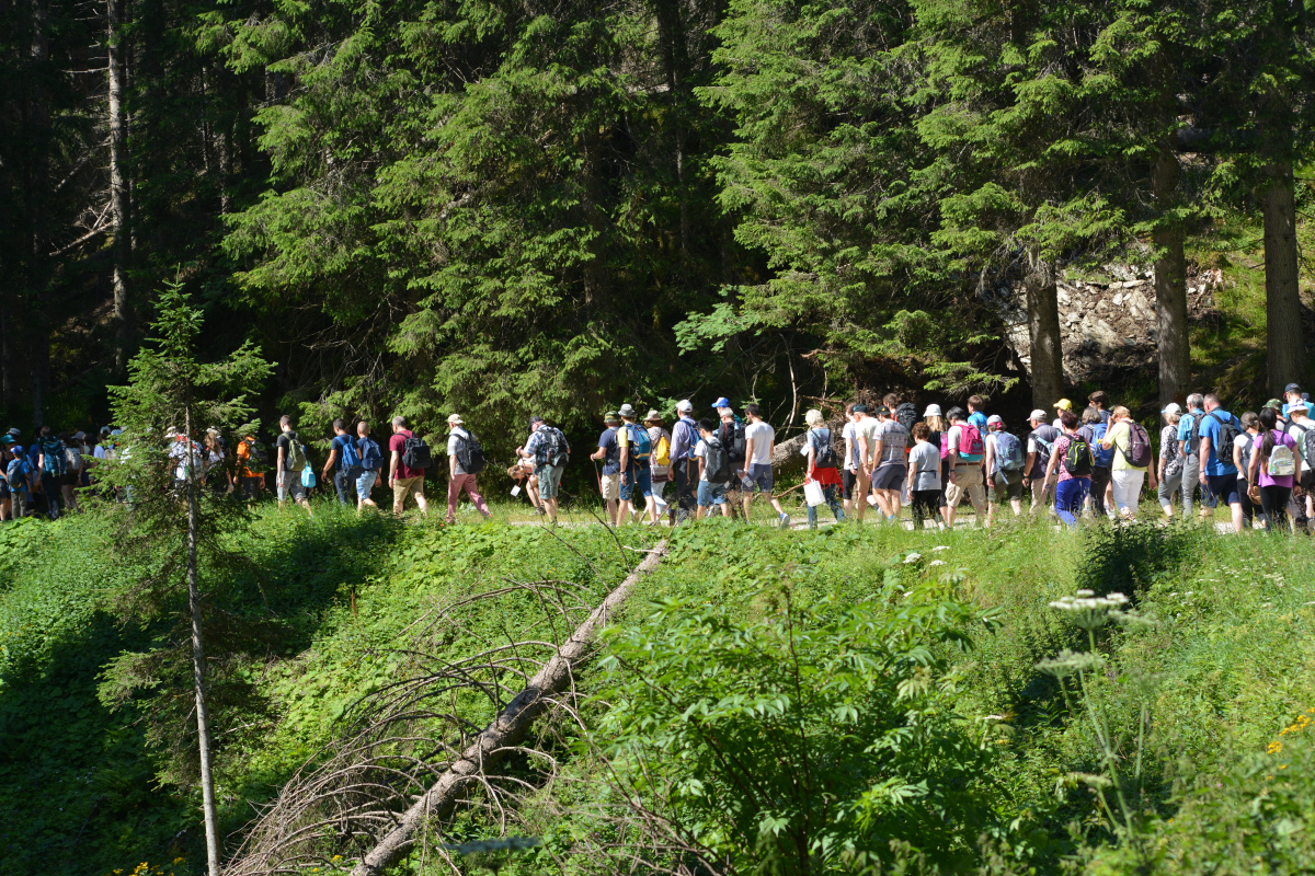 Közösségben kozossegben