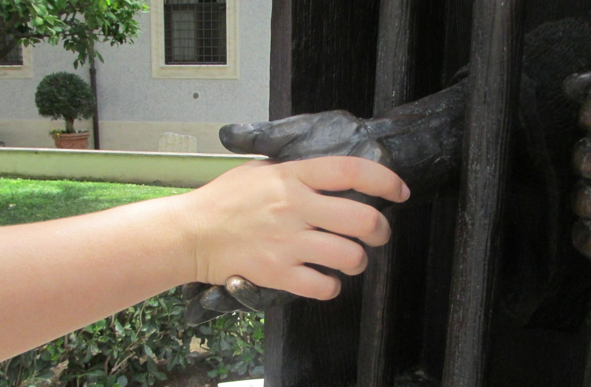 Solwodi Hungary kiszolgáltatott nők méltó életéért – interjú solwodi-hungary-kiszolgaltatott-nok-melto-eleteert-interju