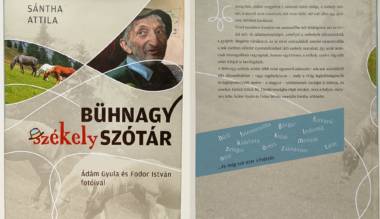 hogy-mondjak-szekelyul-interju-a-szekely-tajnyelv-gazdagsagarol