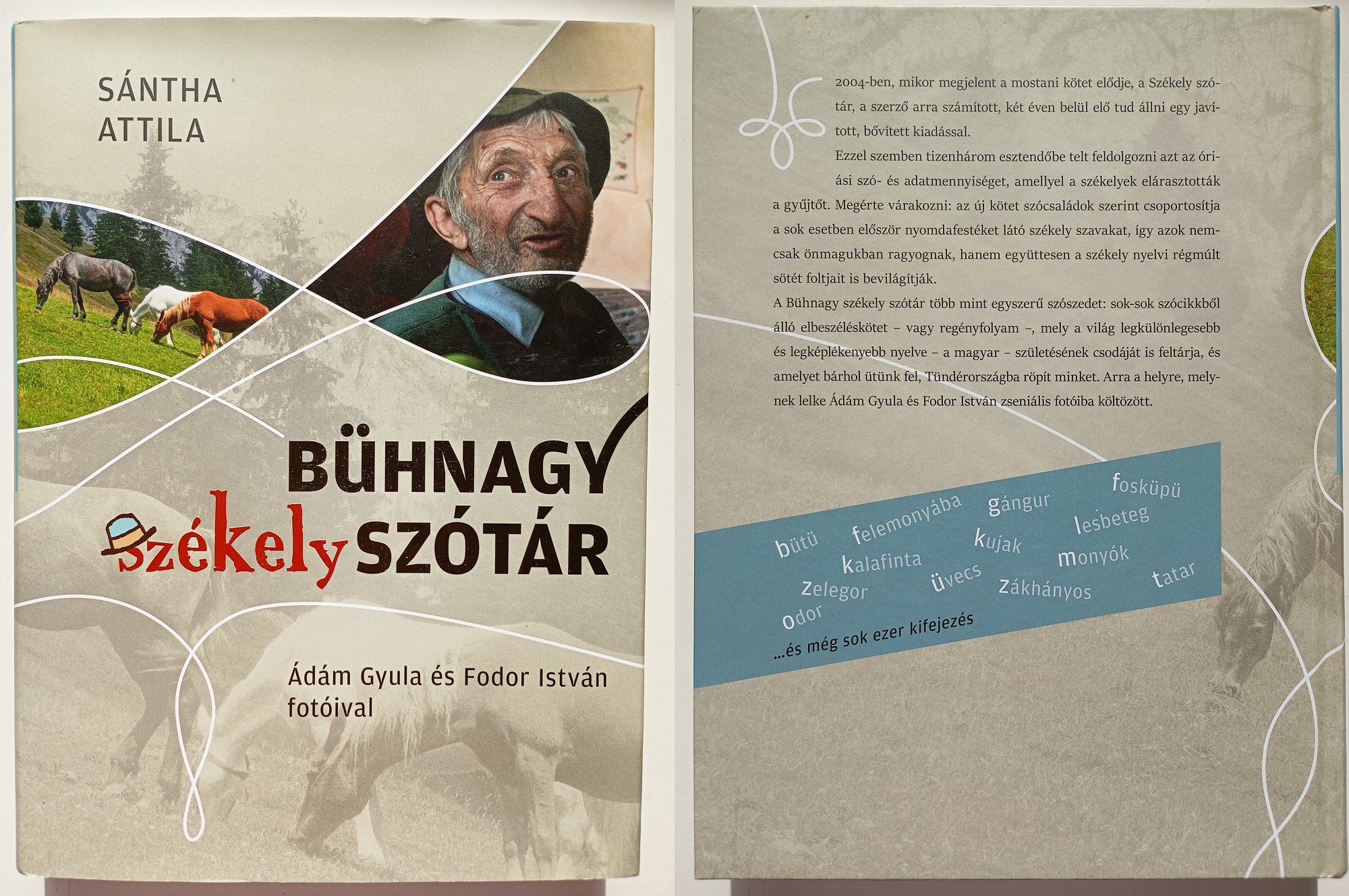 hogy-mondjak-szekelyul-interju-a-szekely-tajnyelv-gazdagsagarol